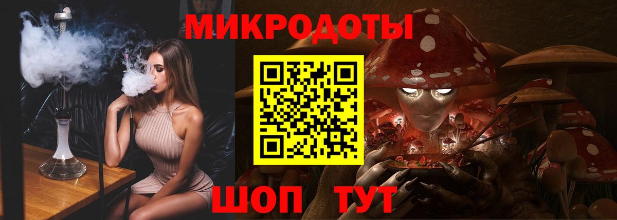 Псилоцибиновые грибы Psilocybe Волгодонск
